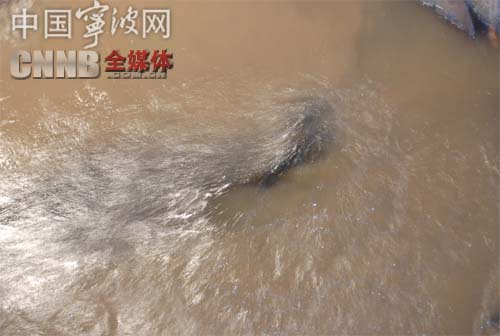首页-OG视讯厅官方网站