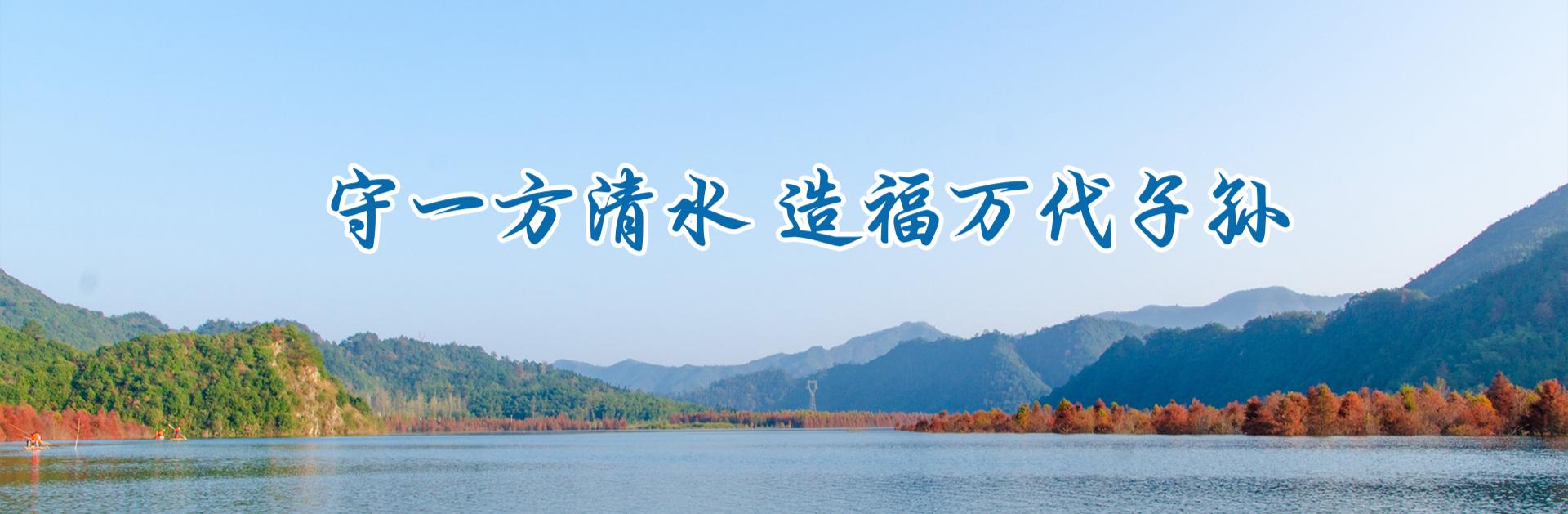 桐城国际大酒店夜景